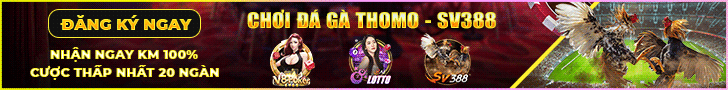 Trực tiếp đá gà - Đá gà thomo