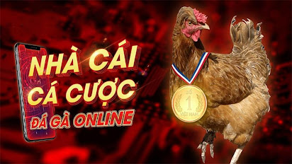 LÊN CỰA GÀ ĐÚNG CÁCH GIÚP CHIẾN KÊ GIÀNH LỢI THẾ KHI THI ĐẤU