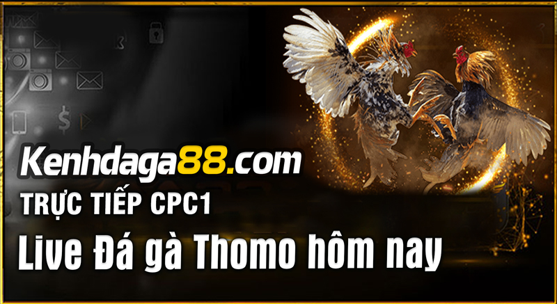 Trực Tiếp Đá Gà Thomo CPC1