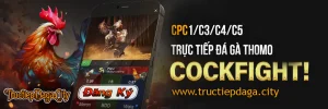 tructiepdaga-dagathomo